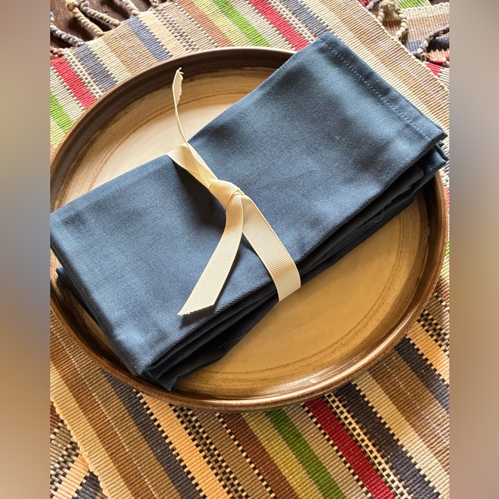 Elegant Blue Cloth Napkins New WithOutTag